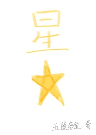 星星四门磁吸冰柜卖多少钱